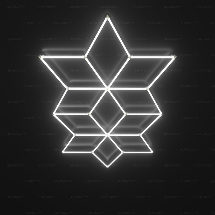 HexSpace Stella Bloom LED Wall & Ceiling Lights (1.66M x 0.99M)